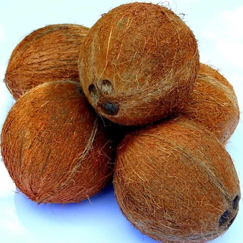 Big Coconut