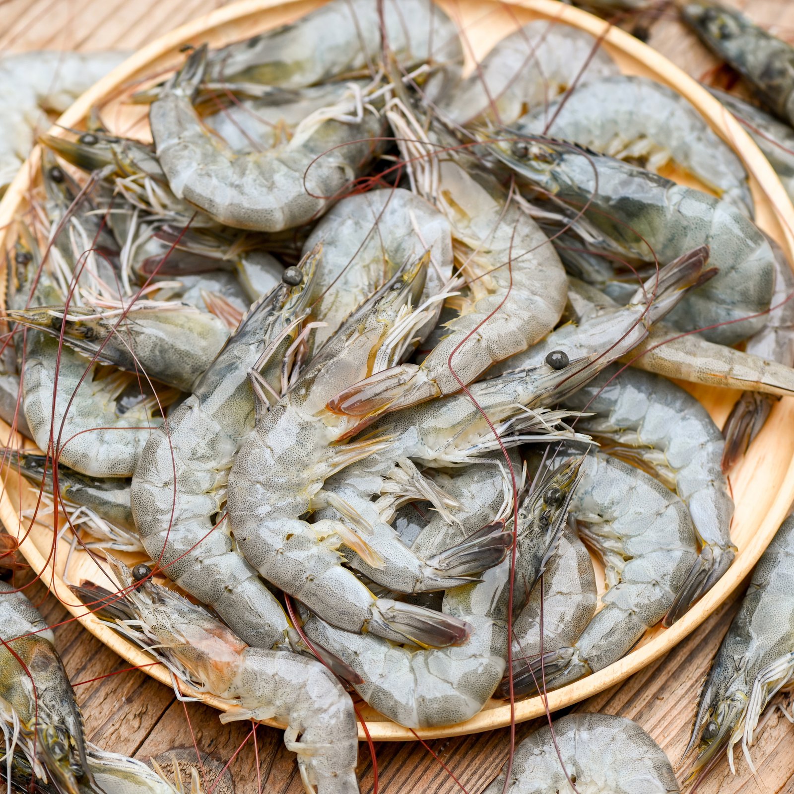 Chingri Fish Medium 100g Pack