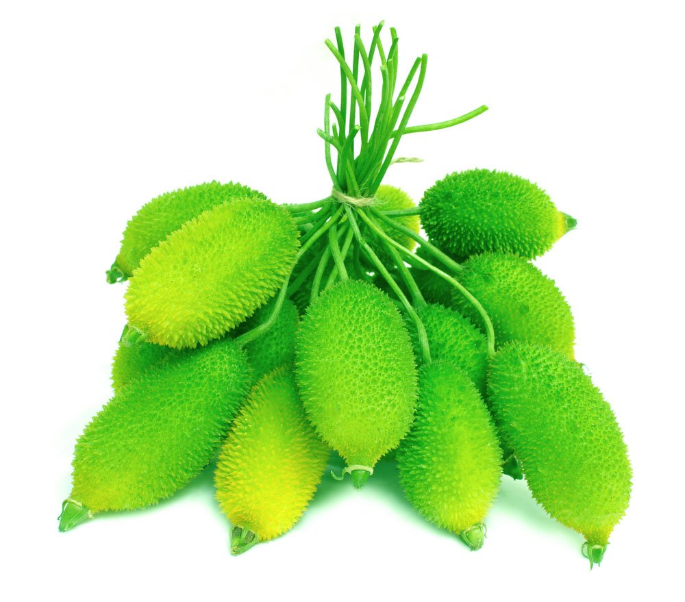 Spiny gourd (Kankroll)