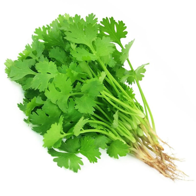 Coriander Leaves (Dhone Pata) 100gm