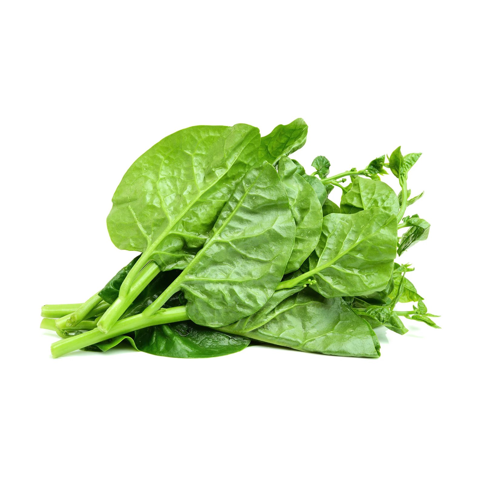 Malabar Spinach (Pui Shak) 100g pac